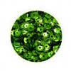 PAILLETTES 4000 pièces  diam 6 vert clair - Sequins