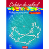 CAHIER DE CALCUL CYCLE 2 NIVEAU 3