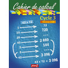 CAHIER DE CALCUL CYCLE 3 NIVEAU 2B