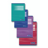CAHIER 21X29,7 PIQURE 70G  SEYES 192P