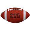BALLON DE FOOTBALL AMERICAIN