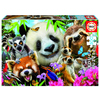 PUZZLE LES ANIMAUX - 300 PIÈCES