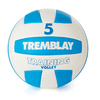 BALLON VOLLEY-BALL TRAINING T5