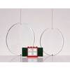 PLASTIQUE CRISTAL CERCLE perforé  Ø 105mm Lot de 5