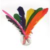 12 PLUMES INDIEN 27-30CM COLORIS ASSORTIS