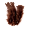 PLUMES NOIRES PAQUET DE 25GR