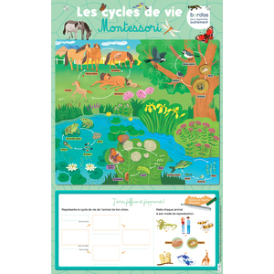 LES POSTERS EFFACABLES - LES CYCLES DE VIE MONTESSORI