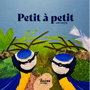 PETIT A PETIT... - MES PREMIERS ALBUMS