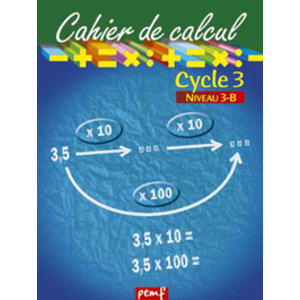CAHIER DE CALCUL CYCLE 3 NIVEAU 3B
