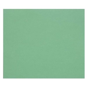 1F PAPIER DESSIN VERT FONCÉ 50X65CM 160G