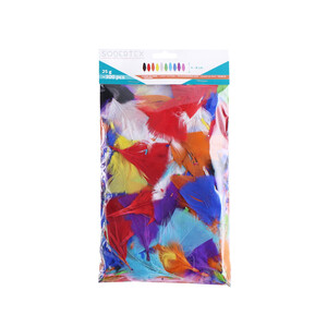 PLUMES COLORIS ASSORTIS 25G