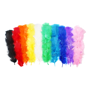 PLUMES COLORIS ASSORTIS 25G