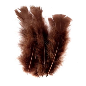 PLUMES NOIRES PAQUET DE 25GR
