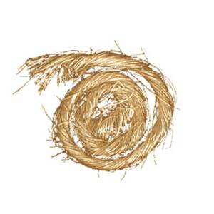 CORDE SISAL ARME 5m FIBRE NATURELLE NATUREL