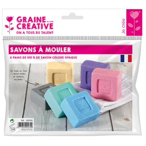 6 PAINS SAVONS À MOULER COLORIS ASSORTIS