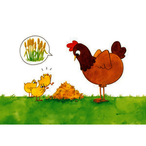 KAMISHIBA?  - PETIT POULE ROUSSE